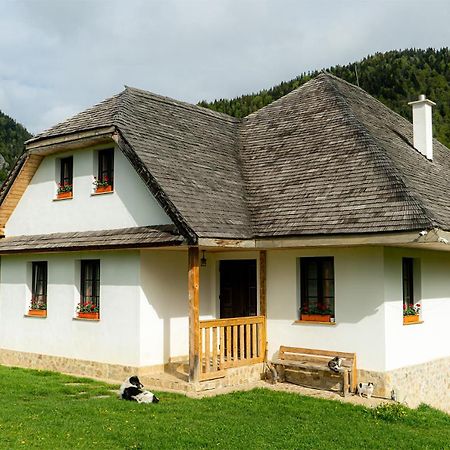 Pensiunea Hodaita Magura  Bagian luar foto