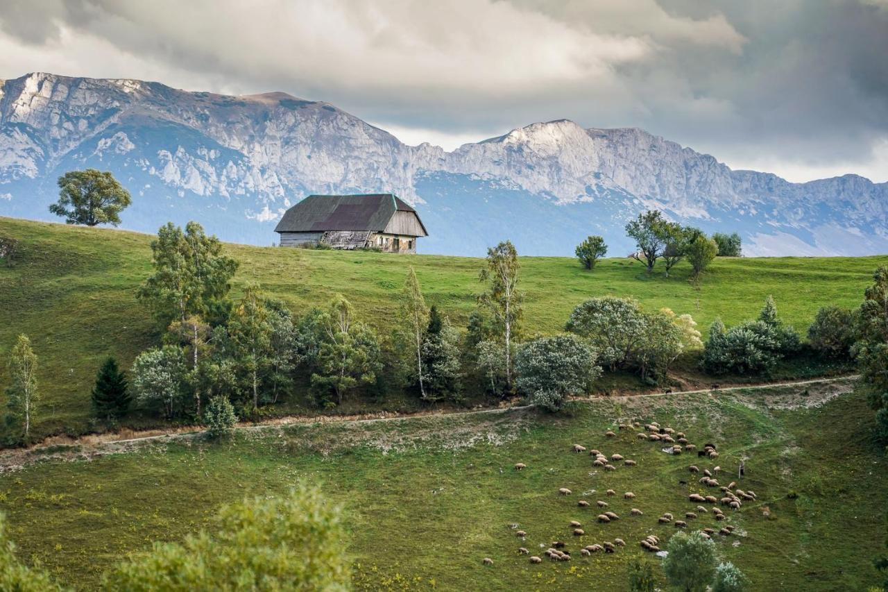 Pensiunea Hodaita Magura  Bagian luar foto