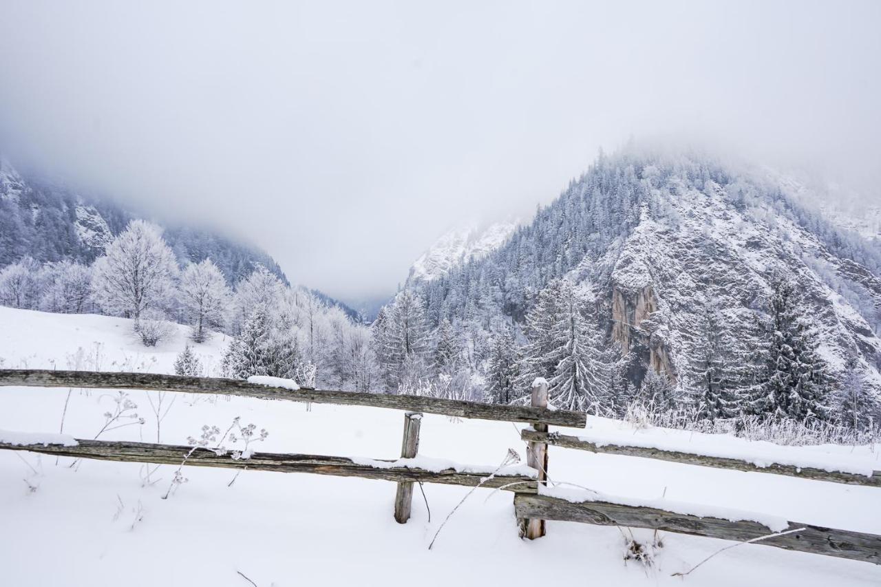 Pensiunea Hodaita Magura  Bagian luar foto