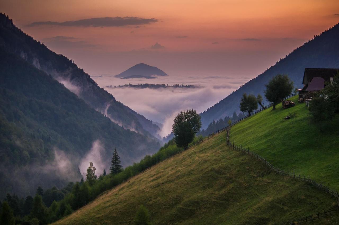 Pensiunea Hodaita Magura  Bagian luar foto