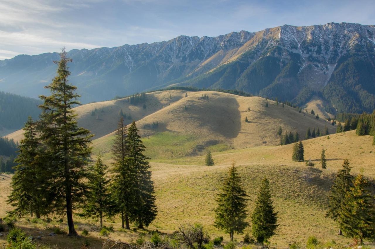 Pensiunea Hodaita Magura  Bagian luar foto