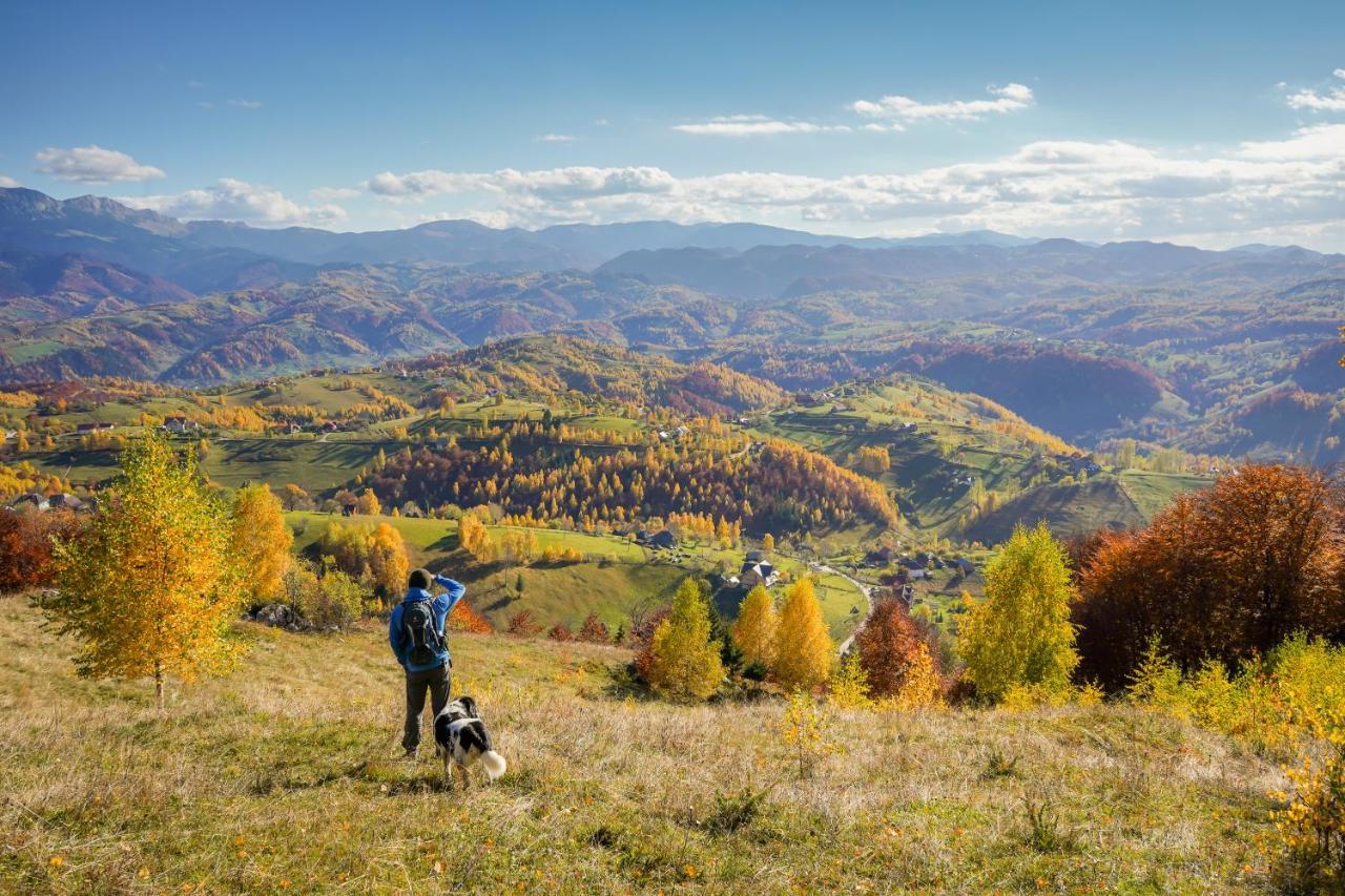 Pensiunea Hodaita Magura  Bagian luar foto