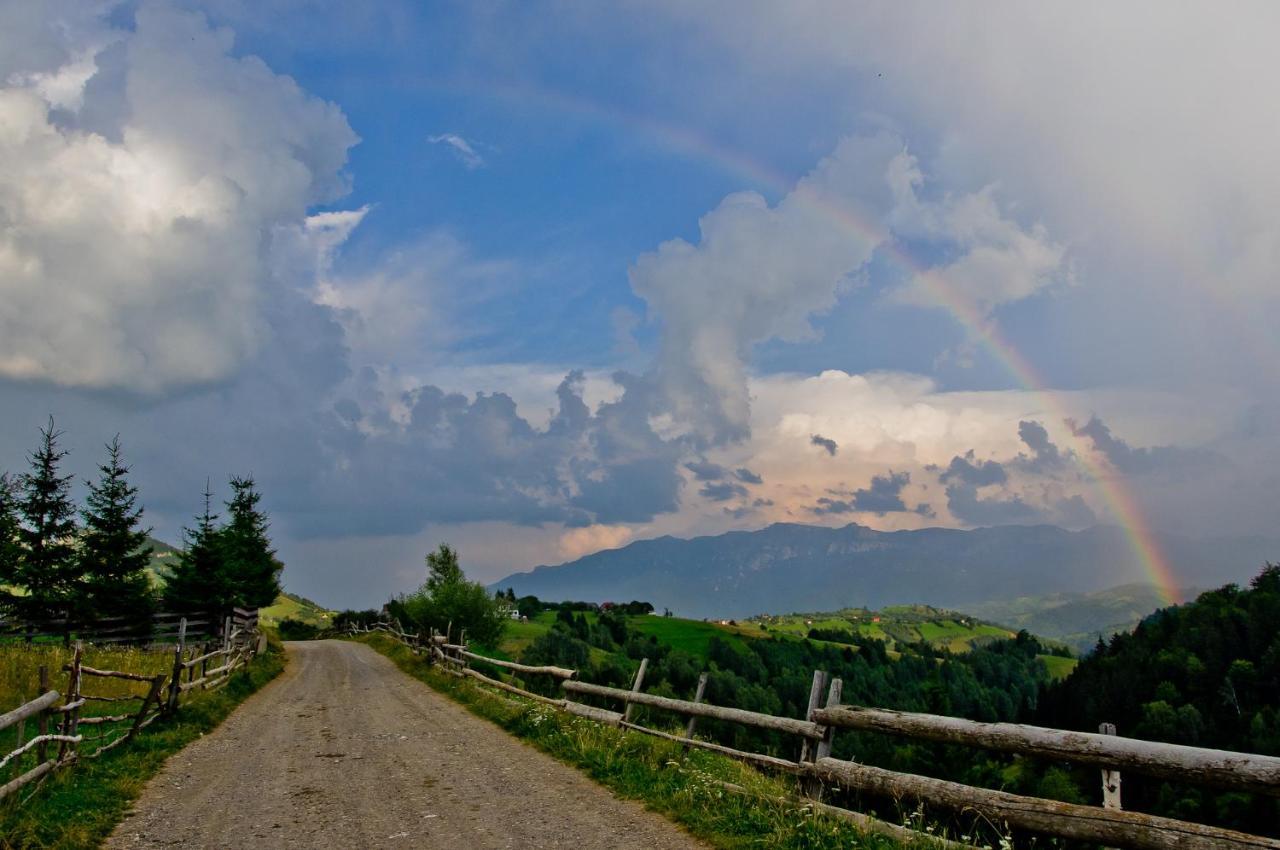 Pensiunea Hodaita Magura  Bagian luar foto