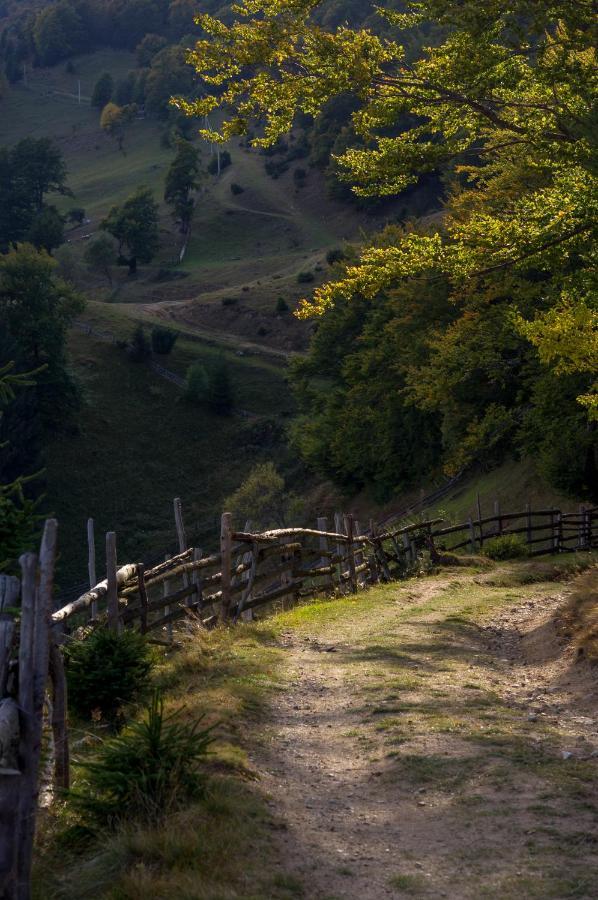 Pensiunea Hodaita Magura  Bagian luar foto