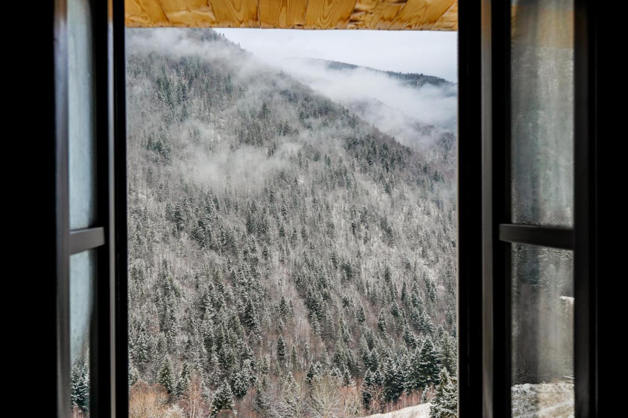 Pensiunea Hodaita Magura  Bagian luar foto