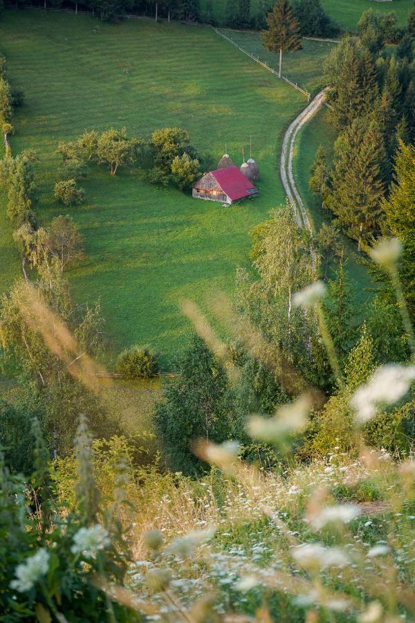 Pensiunea Hodaita Magura  Bagian luar foto