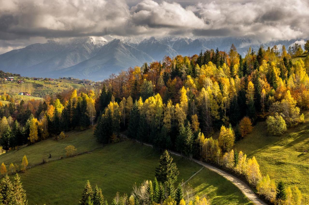 Pensiunea Hodaita Magura  Bagian luar foto