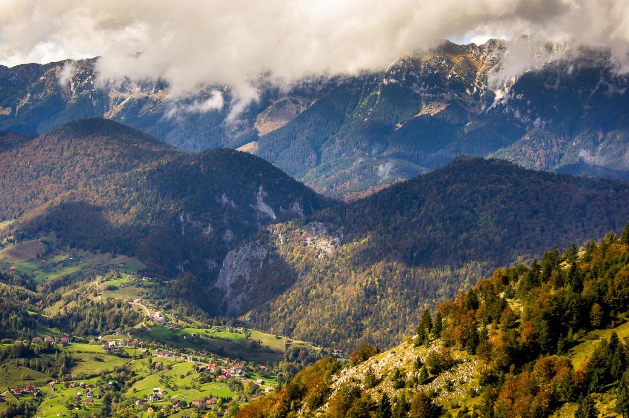 Pensiunea Hodaita Magura  Bagian luar foto