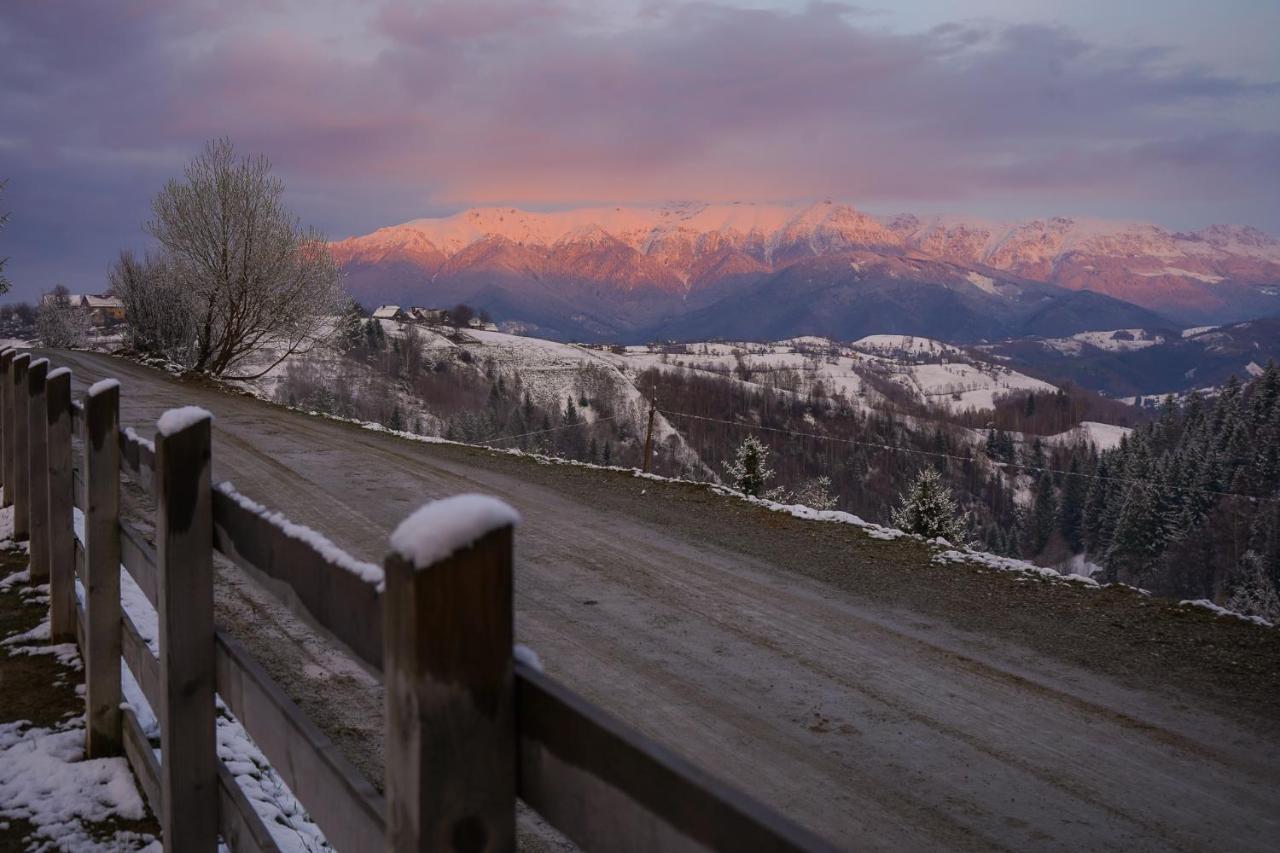 Pensiunea Hodaita Magura  Bagian luar foto