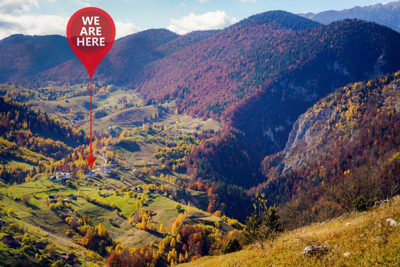Pensiunea Hodaita Magura  Bagian luar foto