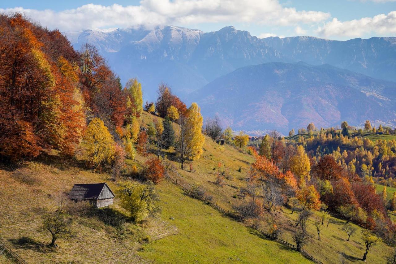 Pensiunea Hodaita Magura  Bagian luar foto